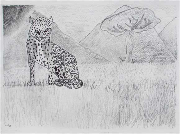 Cheetah